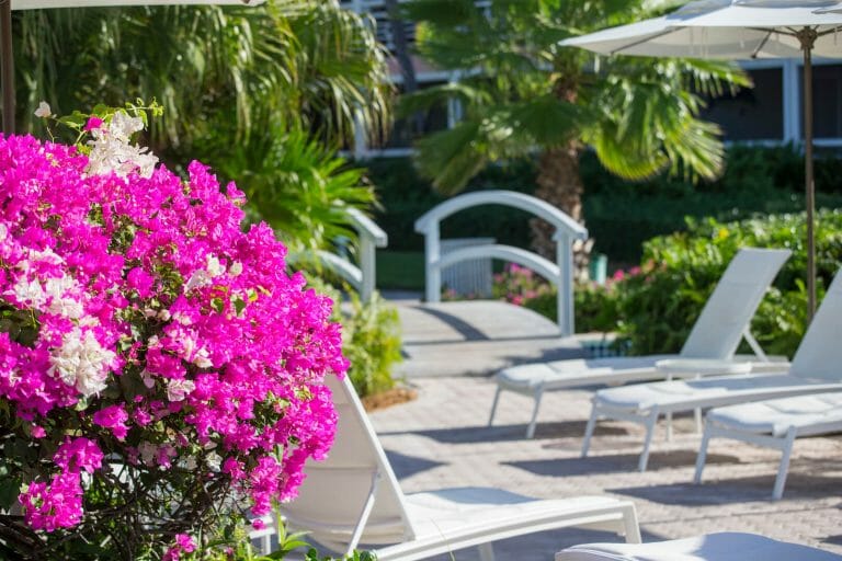 Find Ocean Club Resorts FAQ