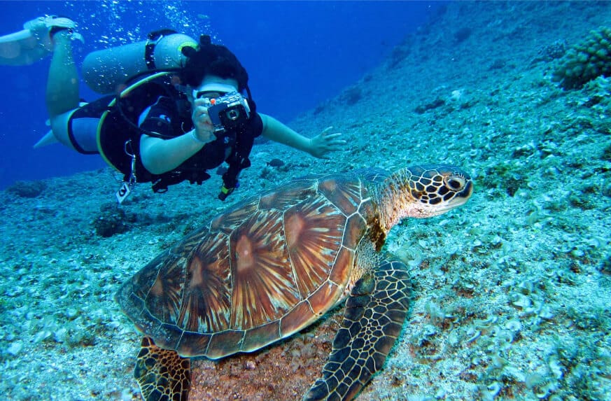 Plan Group Getaways in Turks and Caicos with Friends