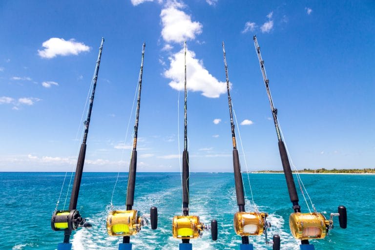Discover Fishing in Turks and Caicos