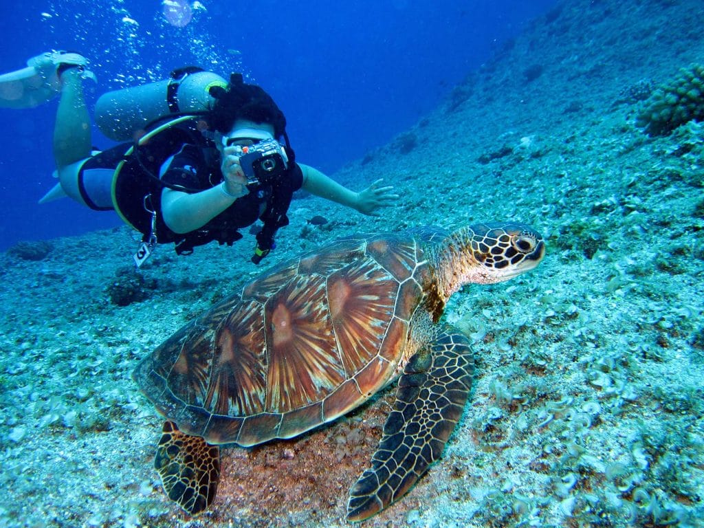 Adventurous Solo Travel in Turks and Caicos