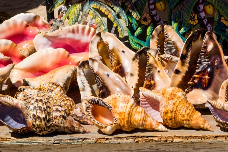 Holiday Shopping Festive activities in Turks and Caicos